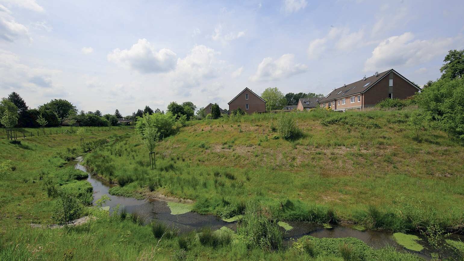 in einer Wiesenlandschaft fließt der Bach, im Hintergrund Wohngebäude